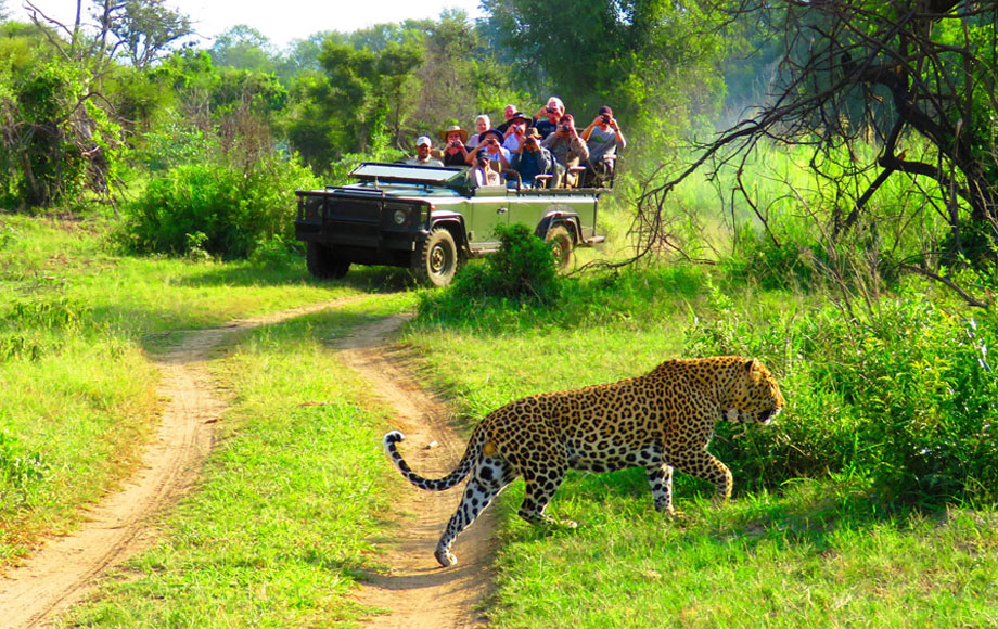 Tanzania Safari Tours Tanzania Safari Tours