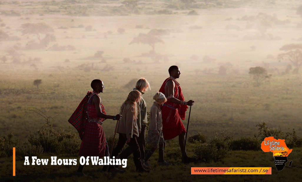 A Few Hours Of Walking A Few Hours Of Walking