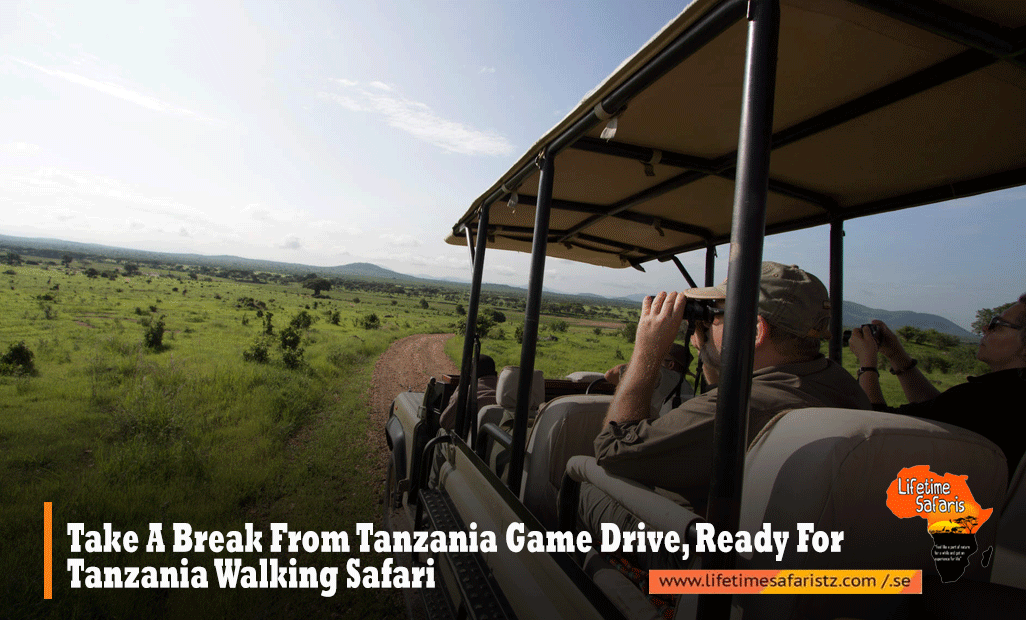 Tanzania Walking Safari Tanzania Walking Safari