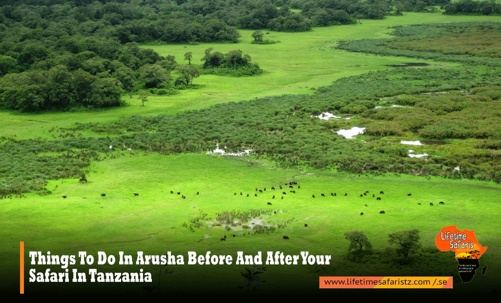 Things To Do In Arusha Things To Do In Arusha
