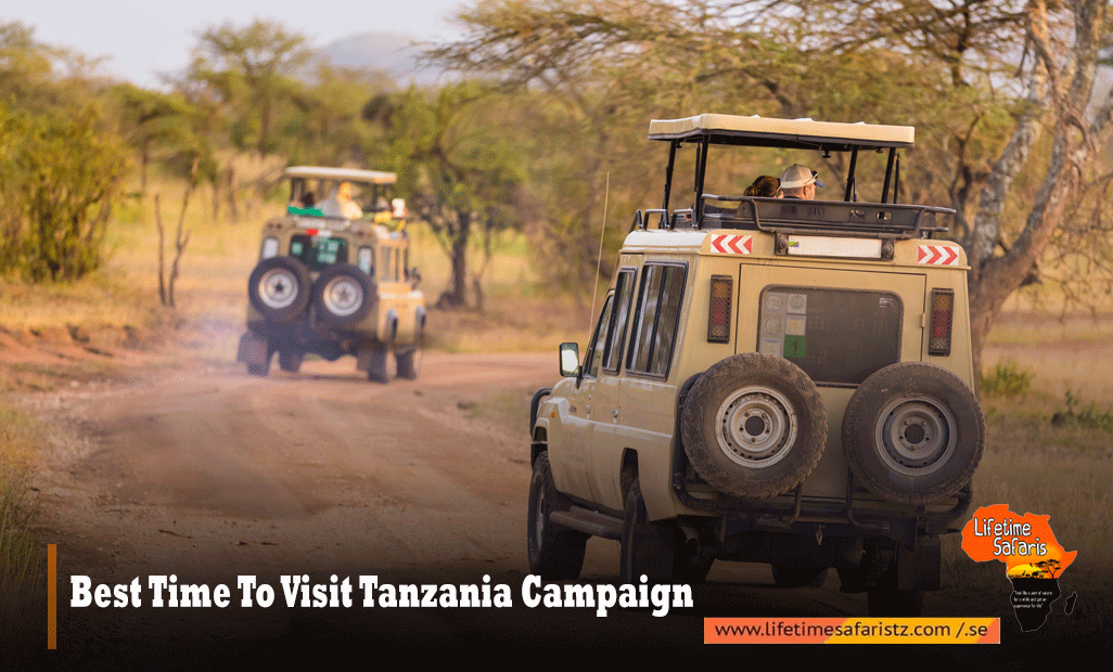 BEST TIME TO VISIT TANZANIA CAMPAIGN