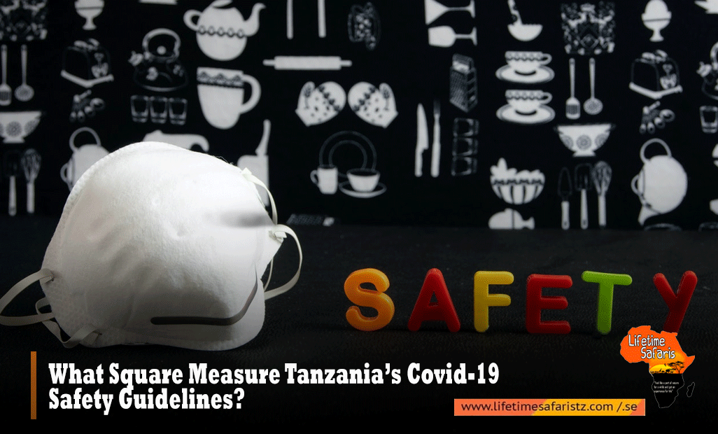 Tanzania Safari Tours Safety