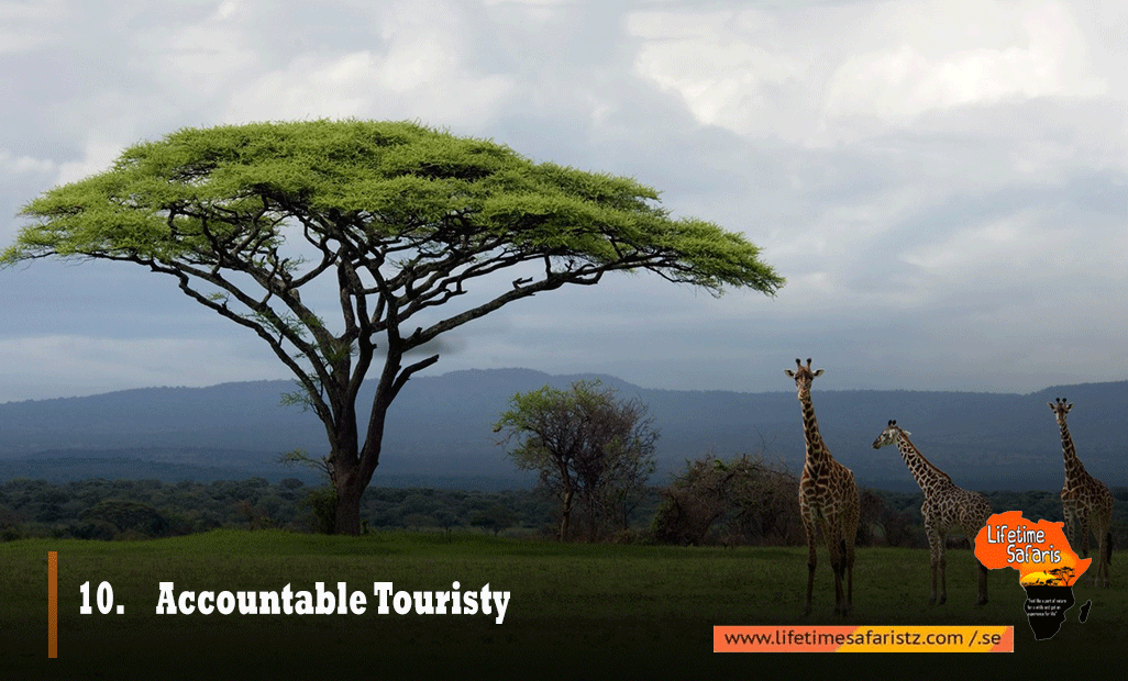 Accountable-Touristy