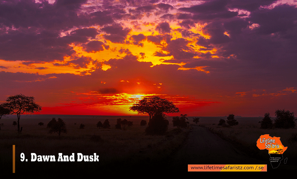 Dawn-And-Dusk