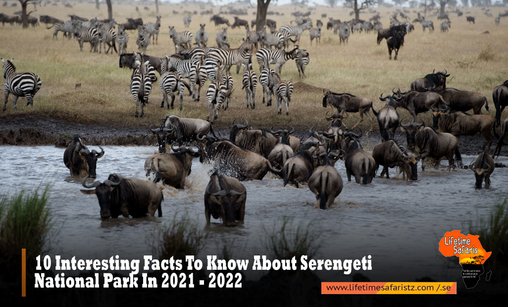 Serengeti National Park
