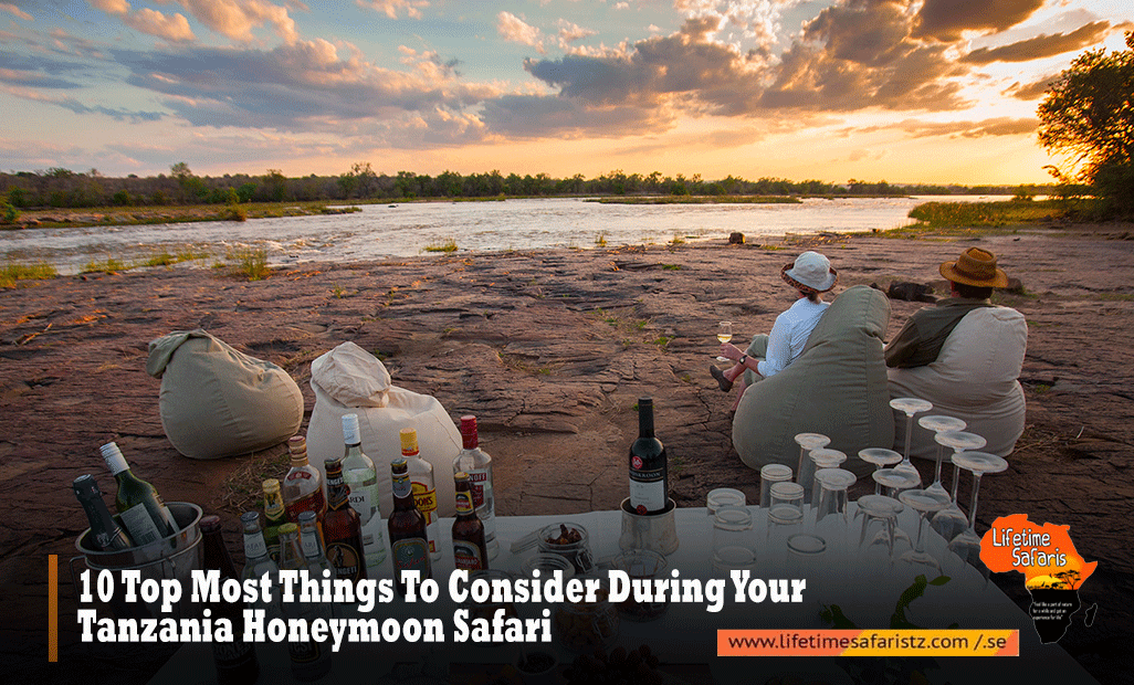 Tanzania Honeymoon Safari