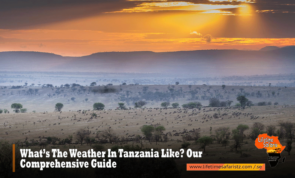 Tanzania Weather