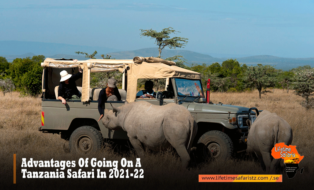 Tanzania Safari Tours
