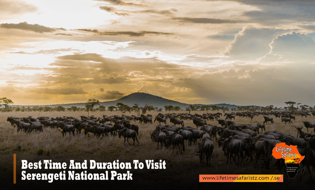 Best Time And Duration To Visit Serengeti National Park