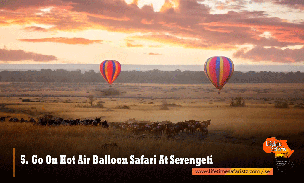 GO ON HOT AIR BALLOON SAFARI AT SERENGETI