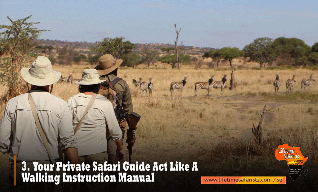 Private Safari Tanzania