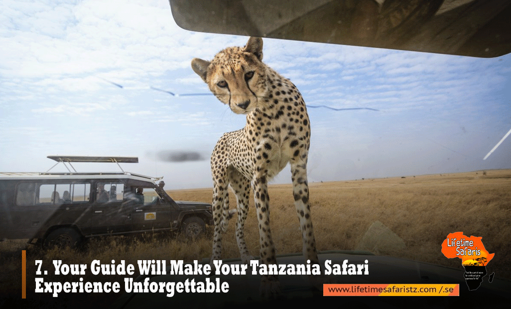 Private Safari Tanzania
