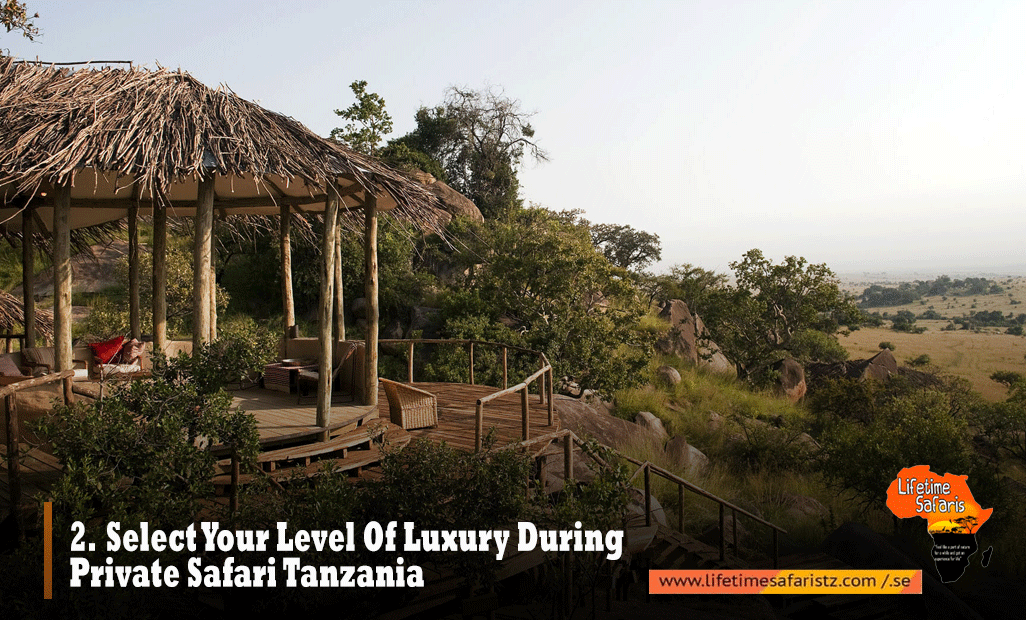 Luxury Private Safari Tanzania