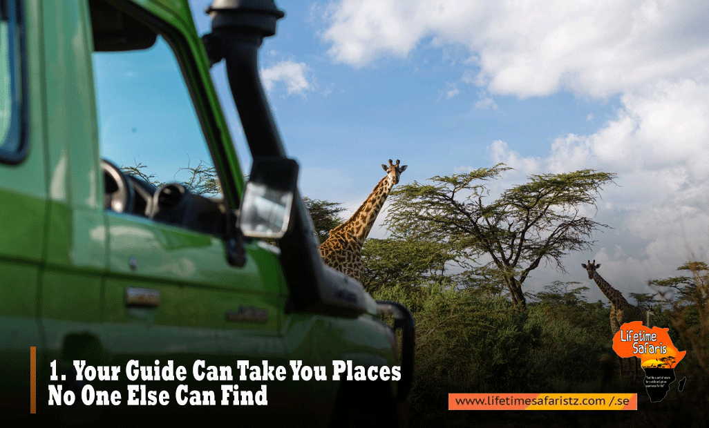 Private Safari Tanzania
