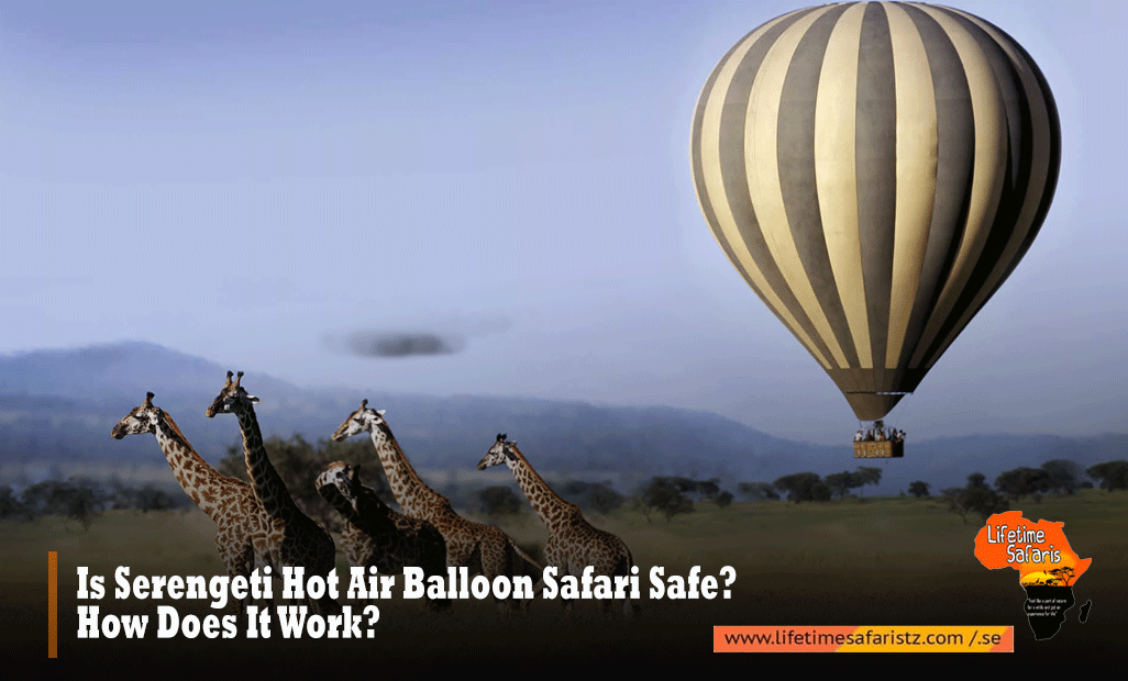 Serengeti Hot Air Balloon Safaris