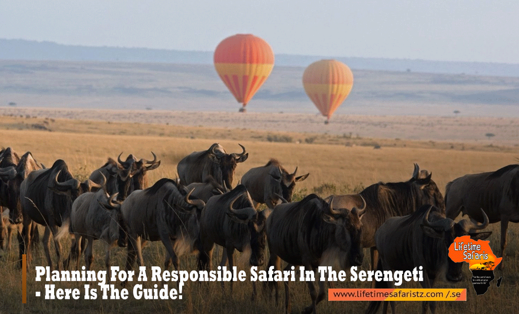 Serengeti National Park Safari