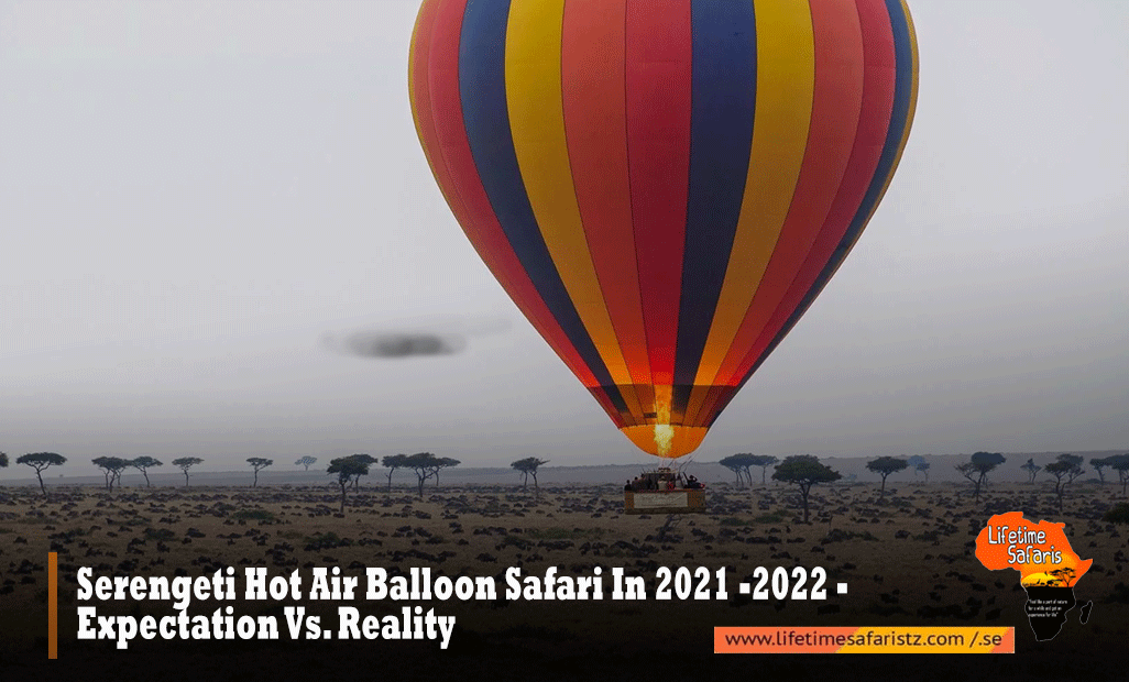 Serengeti Hot Air Balloon Safaris