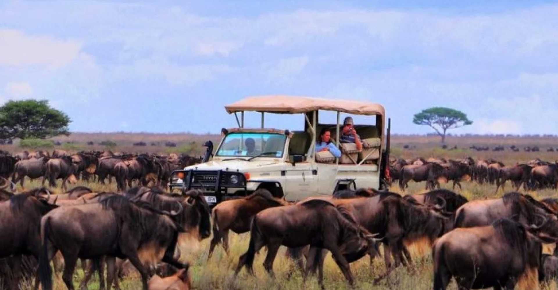 Serengeti National Park – The Emerald Of Tanzania