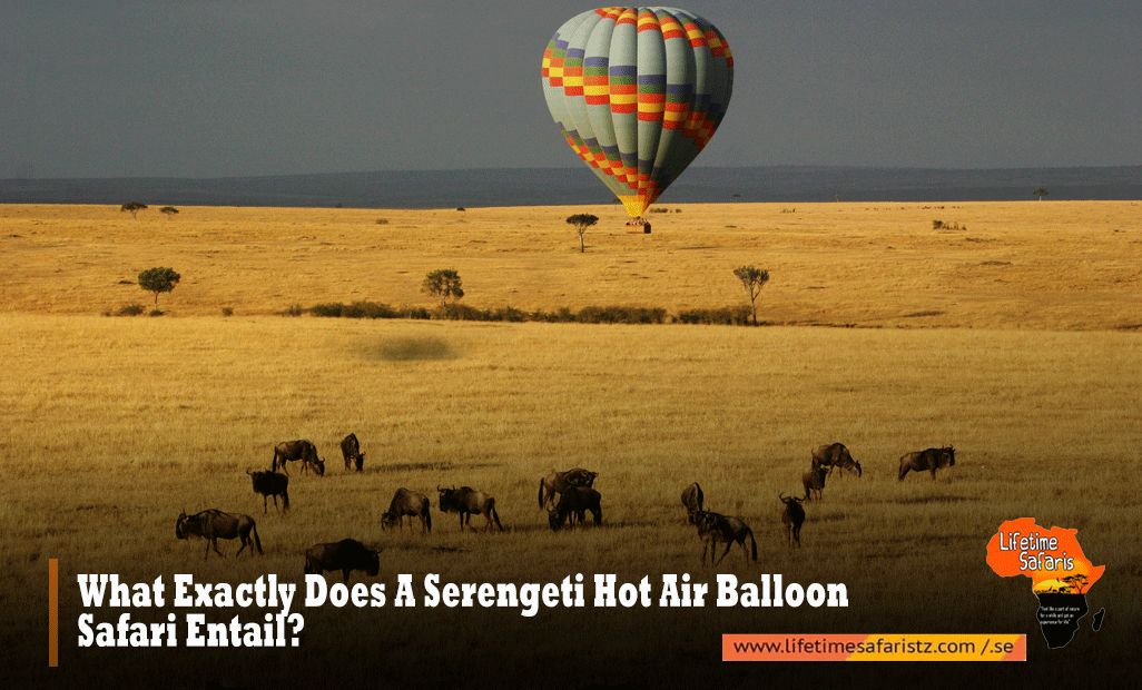 Serengeti Hot Air Balloon Safaris