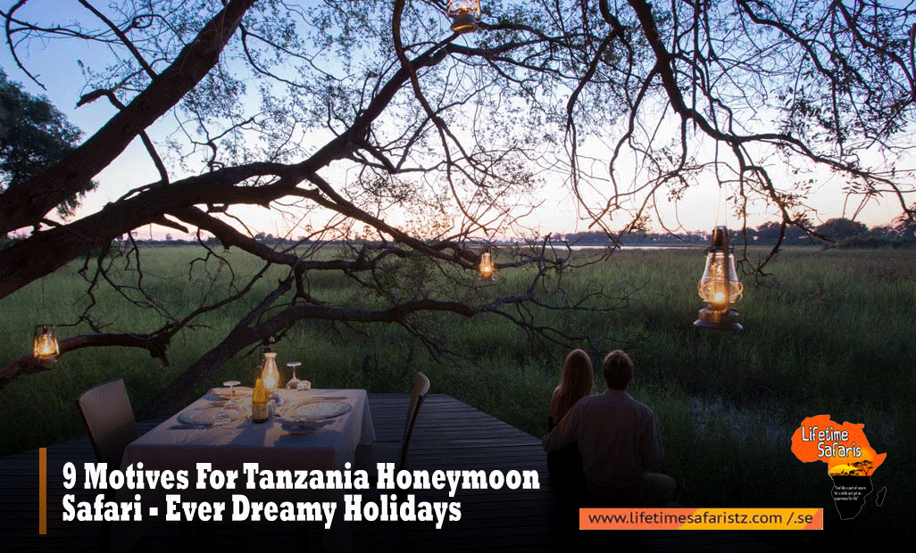 Tanzania Honeymoon Safari