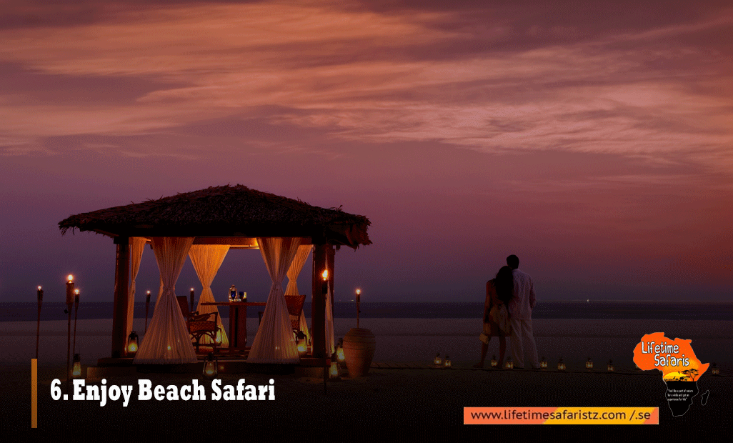 6. Enjoy Beach Safari