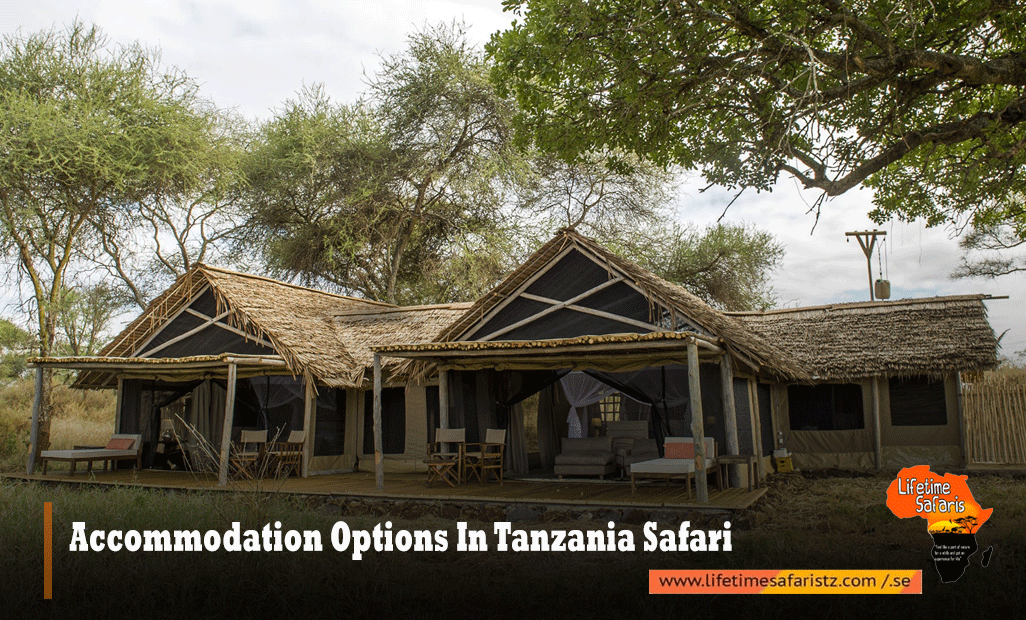 Accommodation-Options-In-Tanzania-Safari
