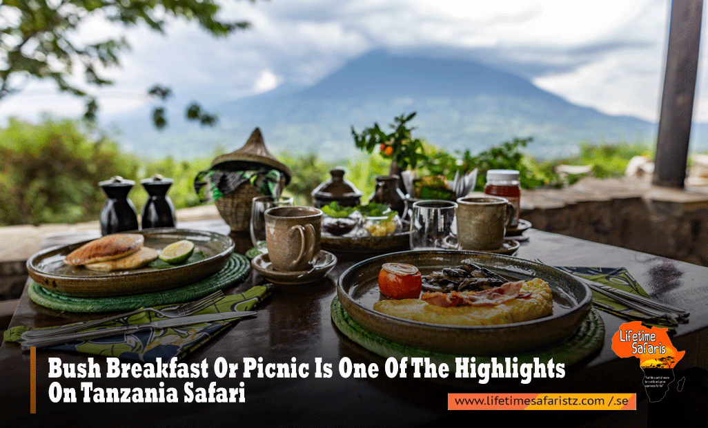 Bush Breakfast Or Picnic Is One Of The Highlights On Tanzania Safari
