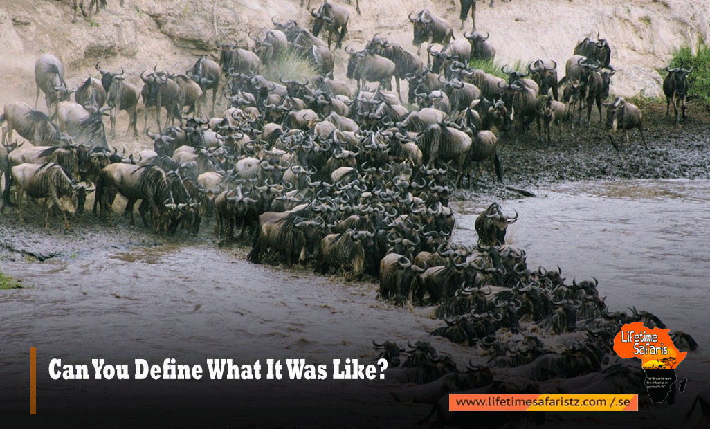 Can You Define What It Was Like?