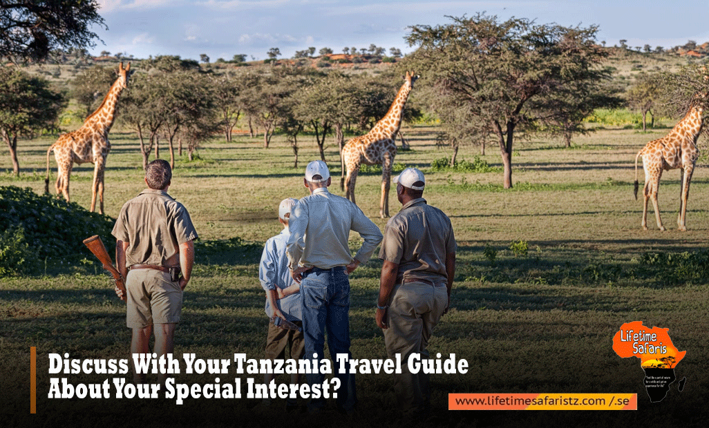 Discuss-With-Your-Tanzania-Travel-Guide-About-Your-Special-Interest
