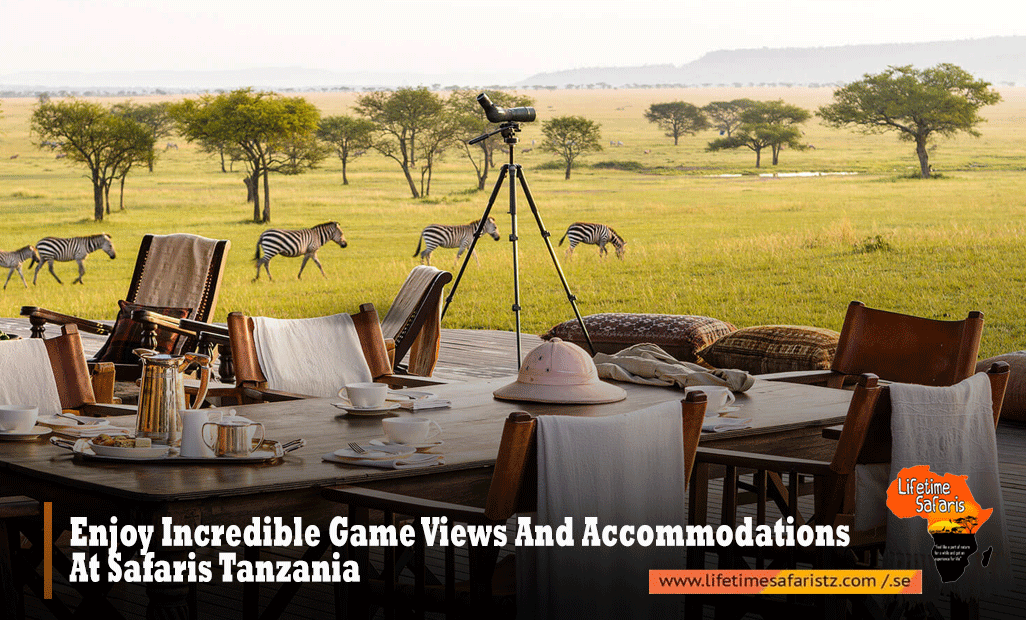 Enjoy Incredible Game Views And Accommodations At Safaris Tanzania