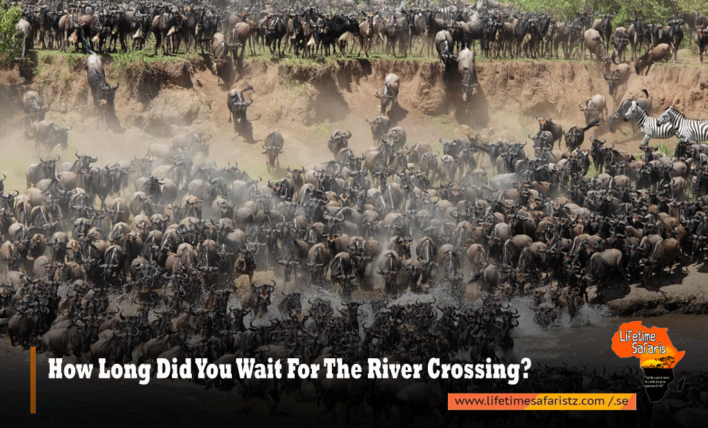 How Long Did You Wait For The River Crossing?