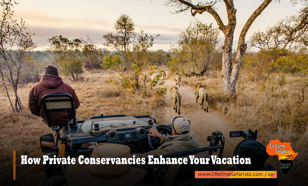 How Private Conservancies Enhance Your Vacation
