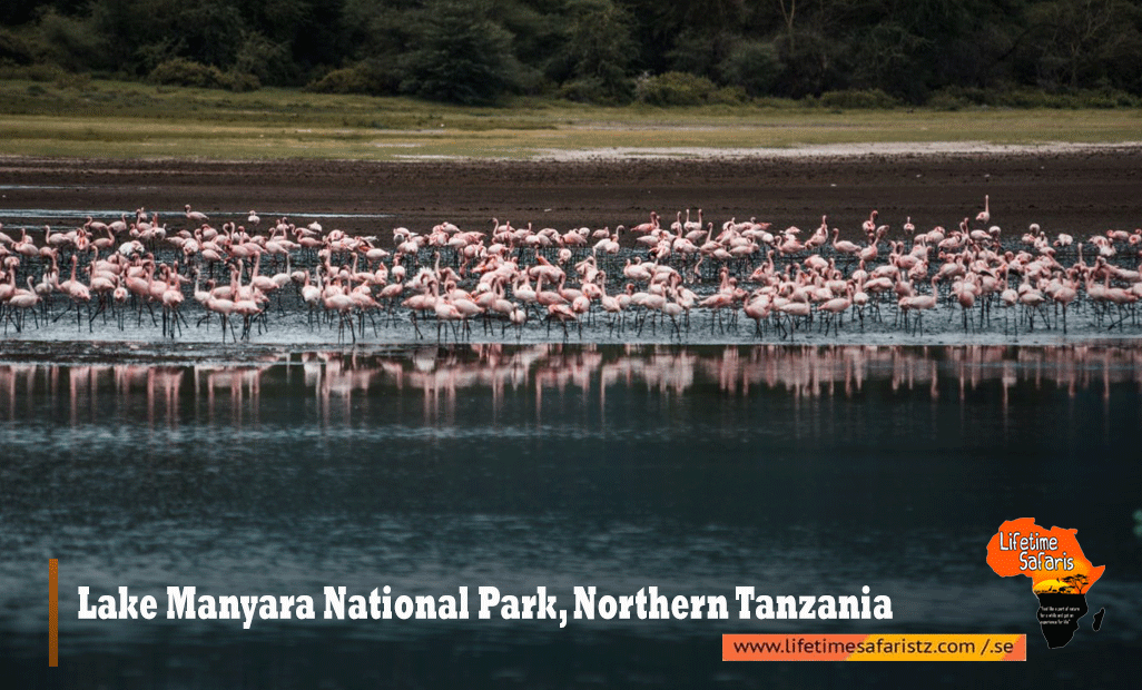 Lake-Manyara-National-Park,-Northern-Tanzania