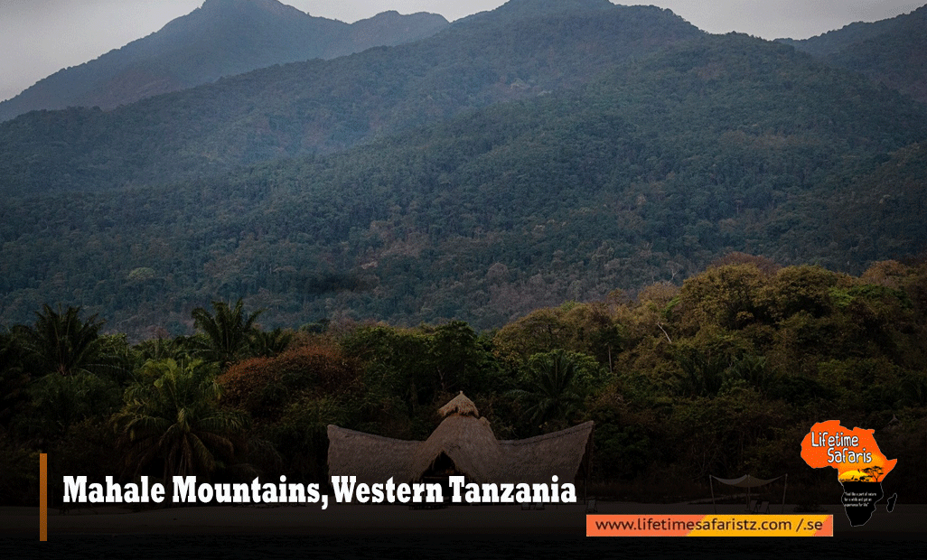 Mahale-Mountains,-Western-Tanzania