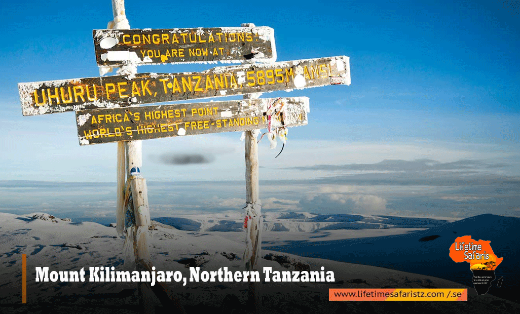 Mount-Kilimanjaro,-Northern-Tanzania