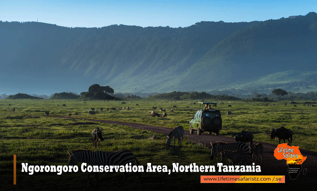 Ngorongoro-Conservation-Area,-Northern-Tanzania
