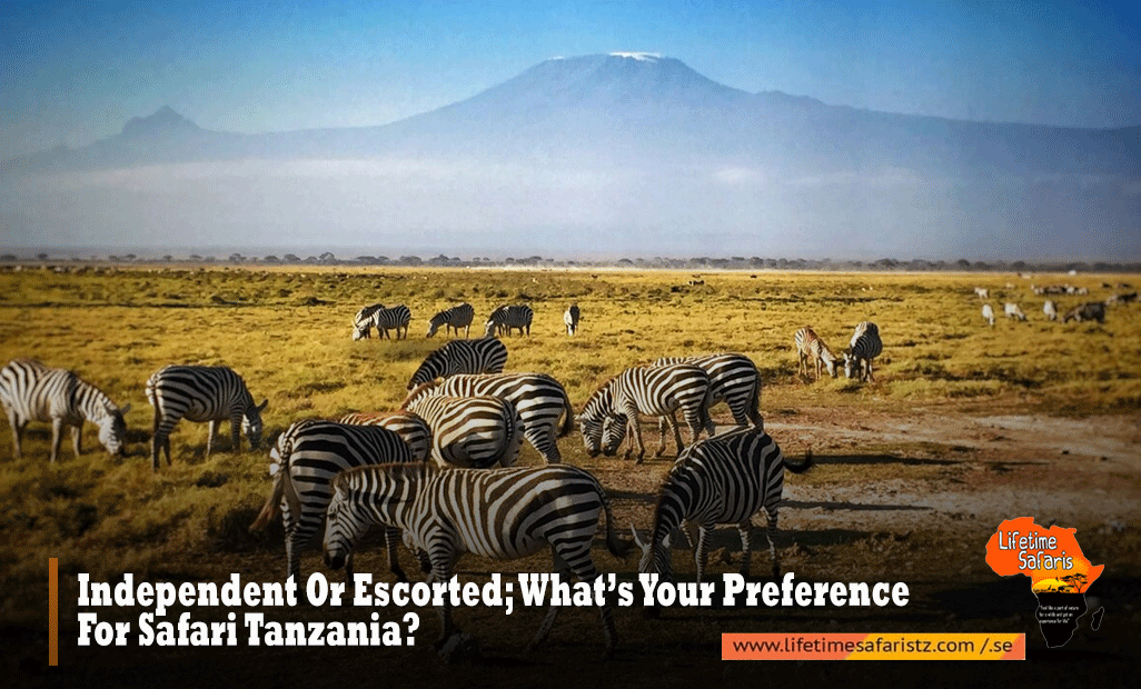 Preference-For-Safari-Tanzania