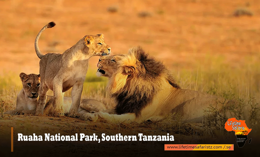 Ruaha-National-Park,-Southern-Tanzania