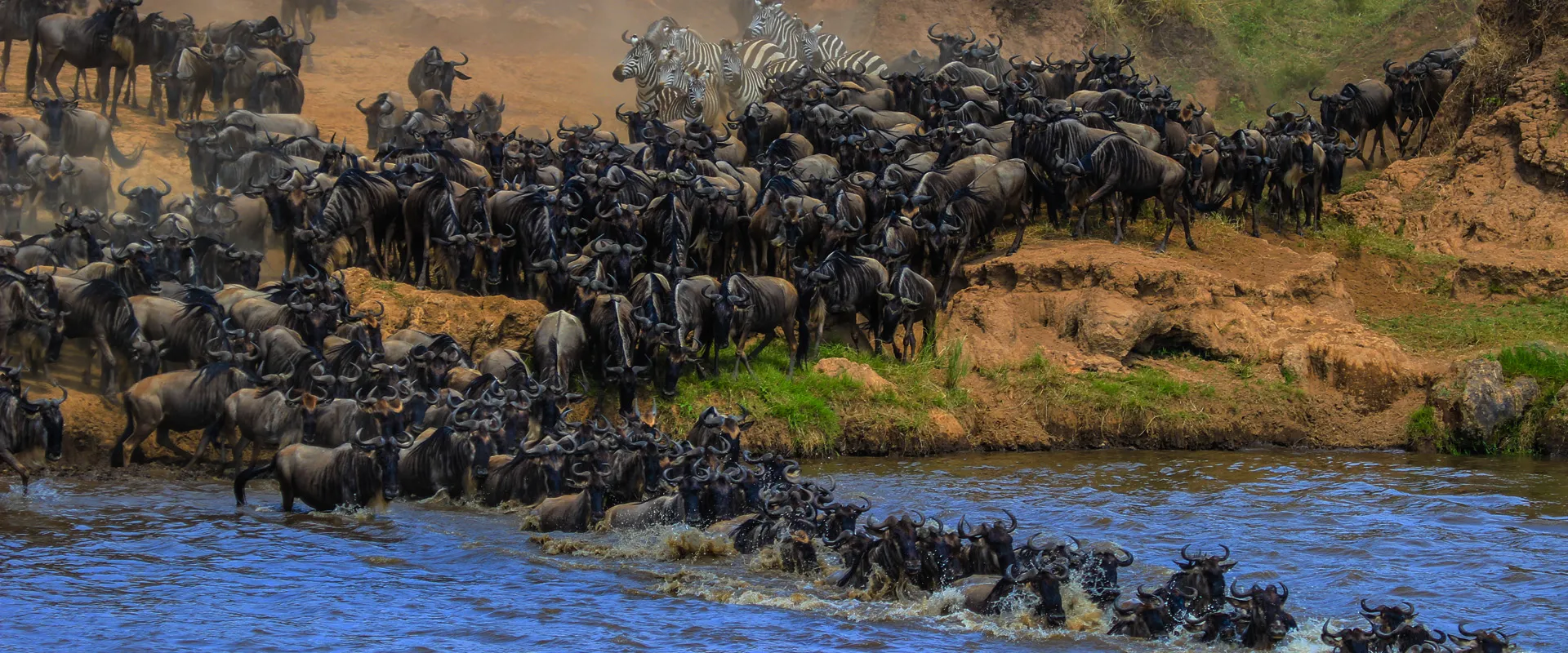Serengeti Migration – One Of The Best Scene For Greatest Animal Show