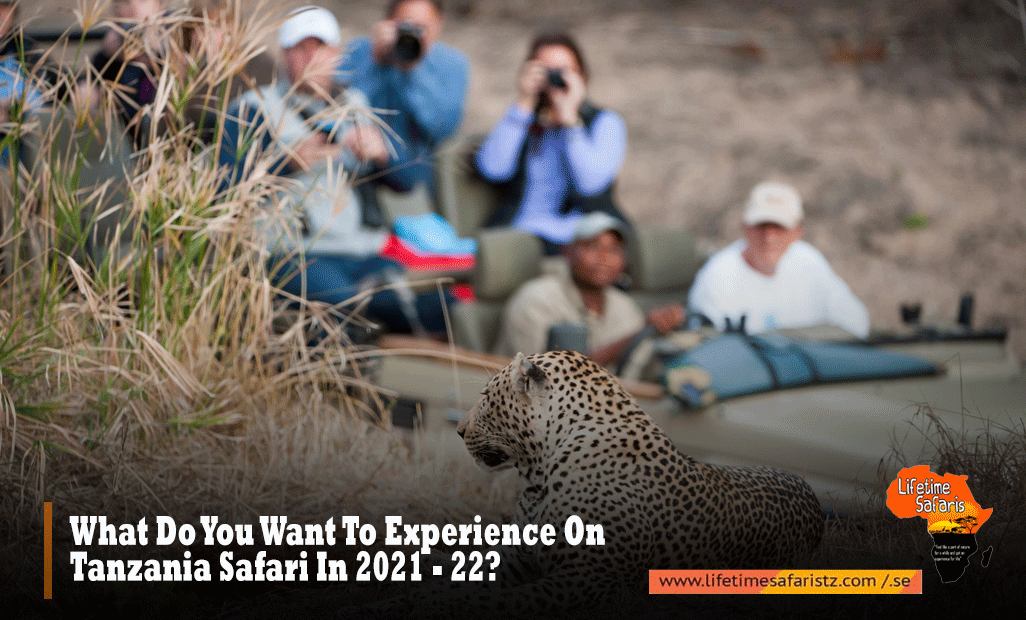 What-Do-You-Want-To-Experience-On-Tanzania-Safari-In-2021---22