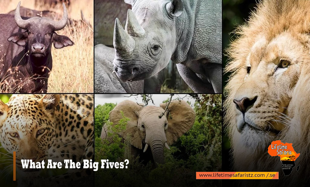 What-Are-The-Big-Fives