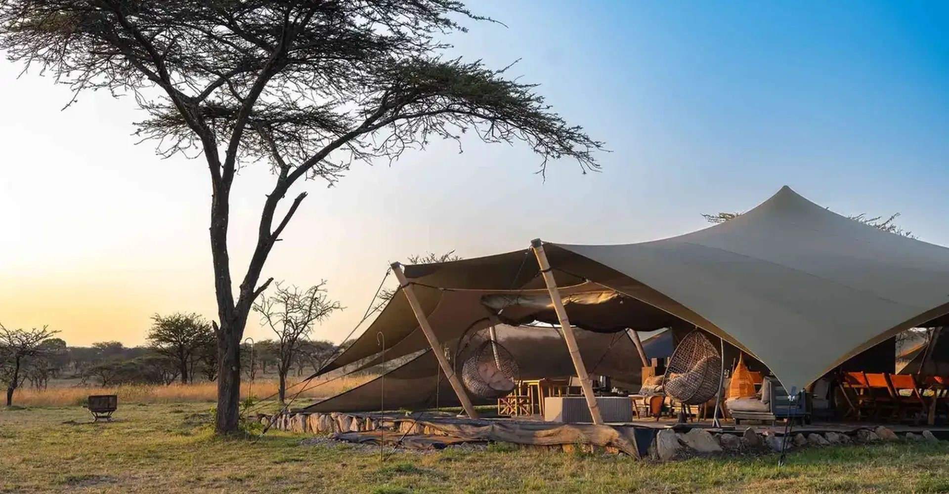 Why Private Conservancies Are So Loved By Travellers On Tanzania Safari Tours?