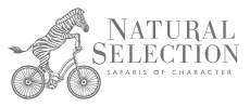 Lifetime Safaris