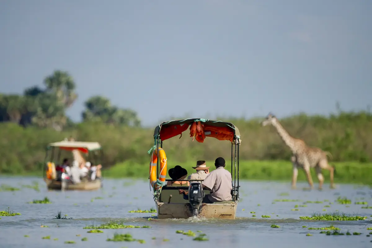 Lifetime Safaris
