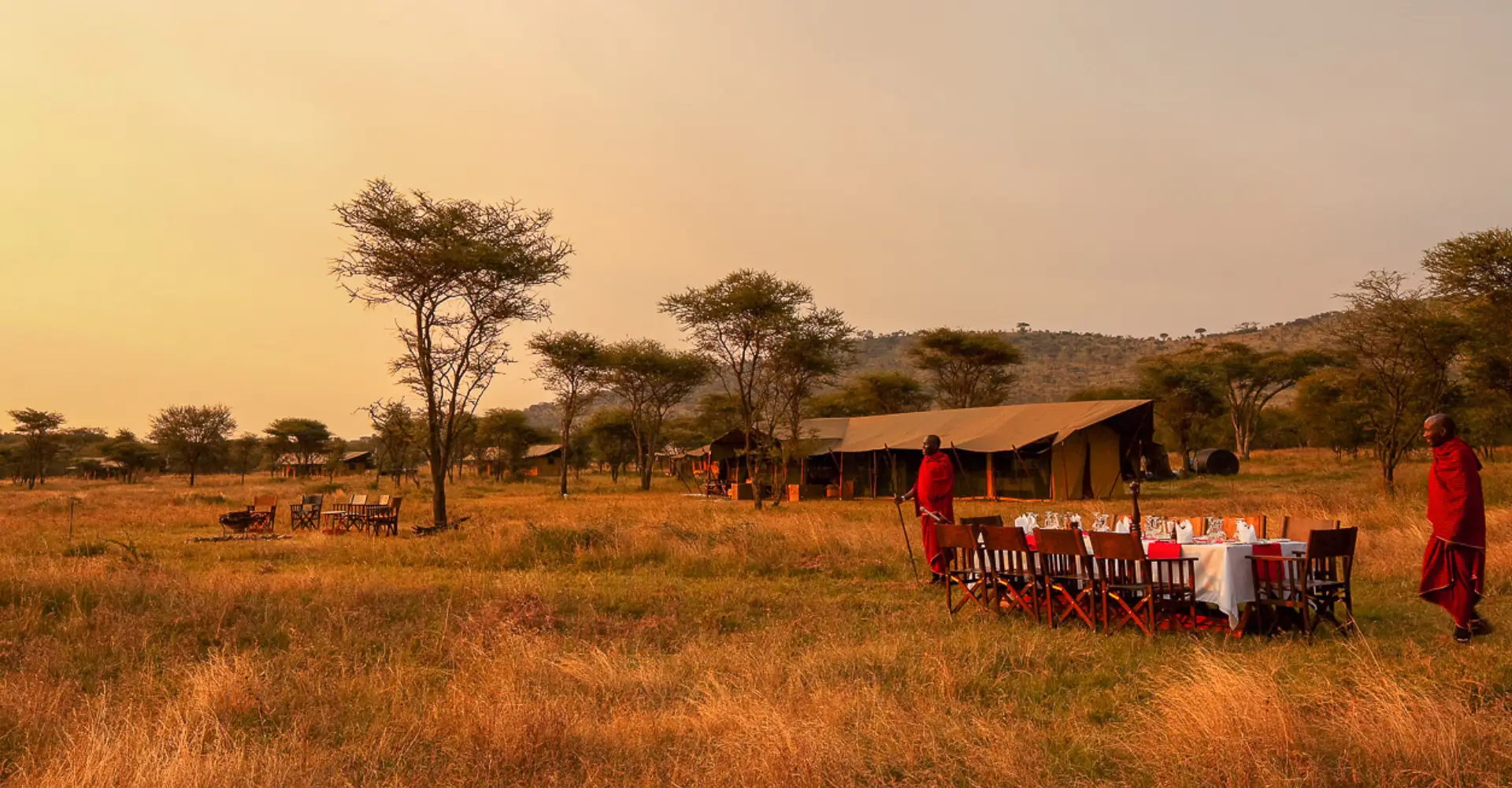Lifetime Safaris