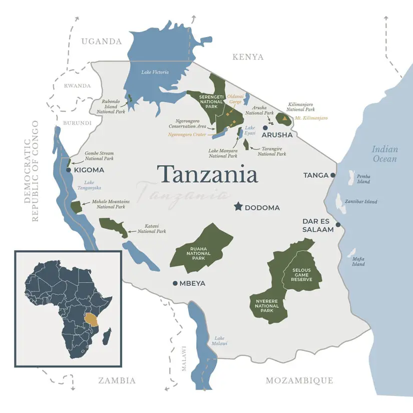 Lifetime Safaris