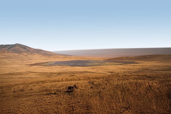 Ngorongoro Safari Packages