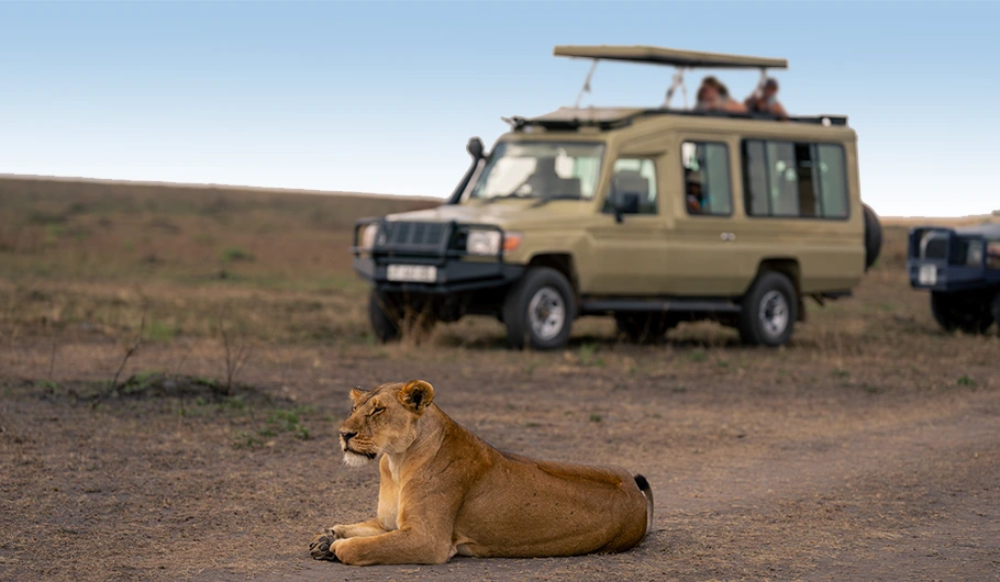 Tanzania Cost
