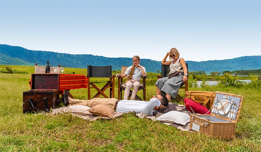 How Much Does It Cost To Do A Safari In Tanzania