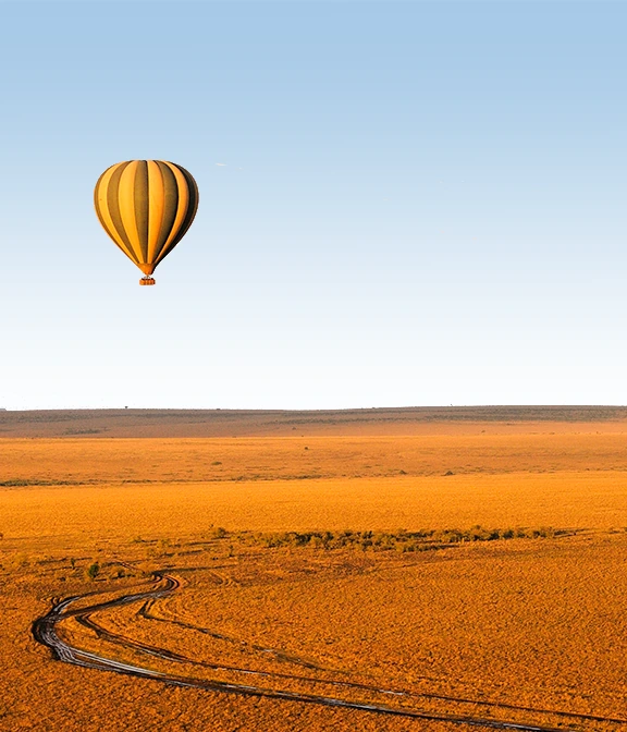 Serengeti Cost